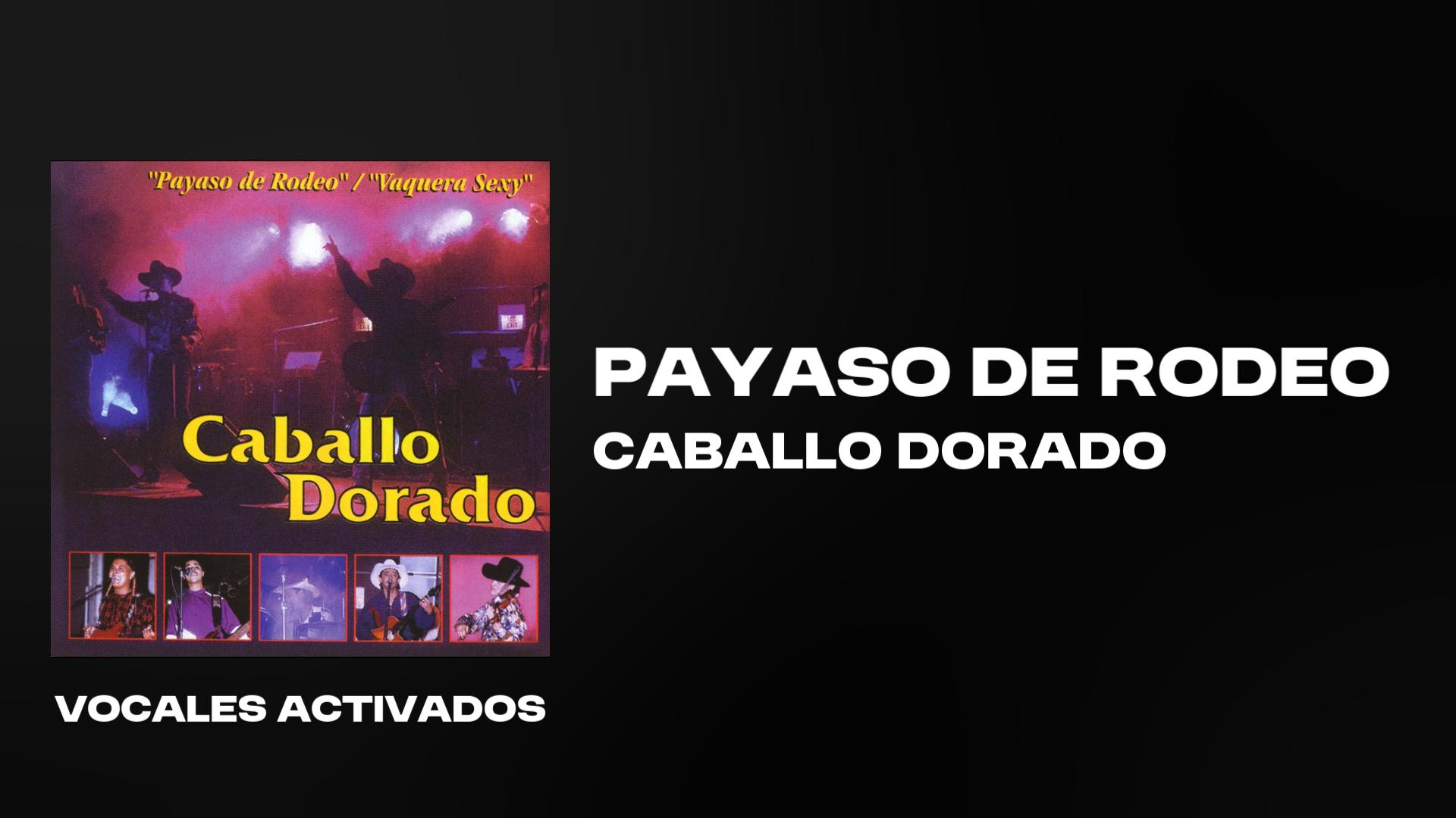 vocalsvideo (ON)