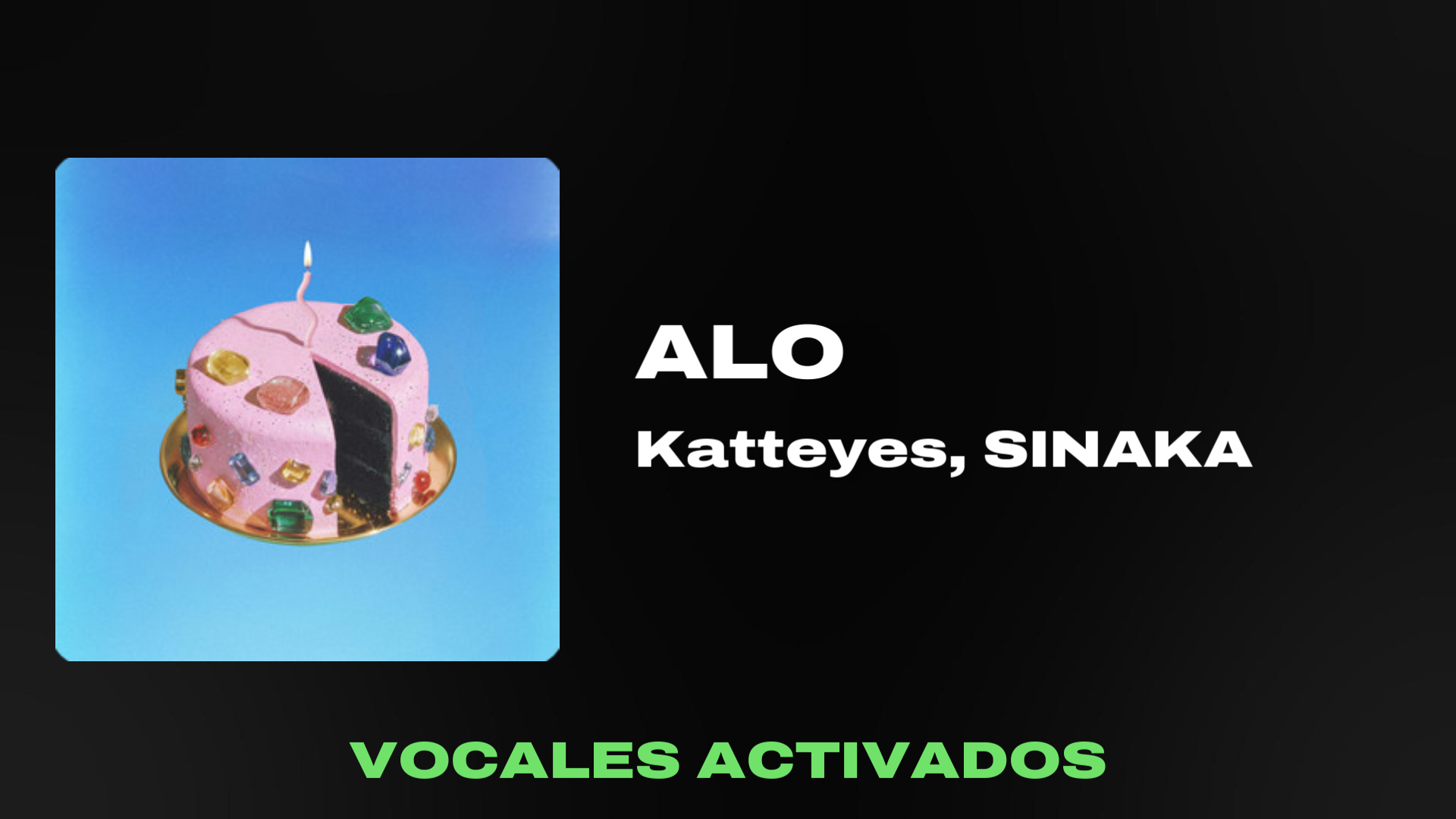 vocalsvideo (ON)